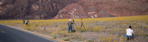 Workshop participants photographing wildflowers in Death Valley
